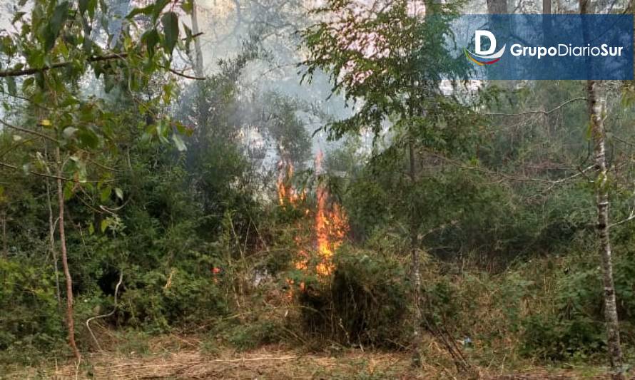 Quema autorizada originó incendio forestal en sector Santa Filomena de Paillaco