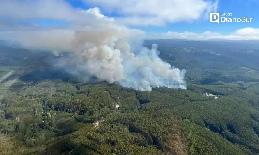 Casi 800 hectáreas consumidas por incendio forestal en Paillaco