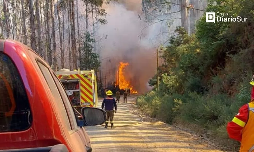 Sin luz y sin agua: vecinos de Los Ulmos desesperados por avance de incendio forestal