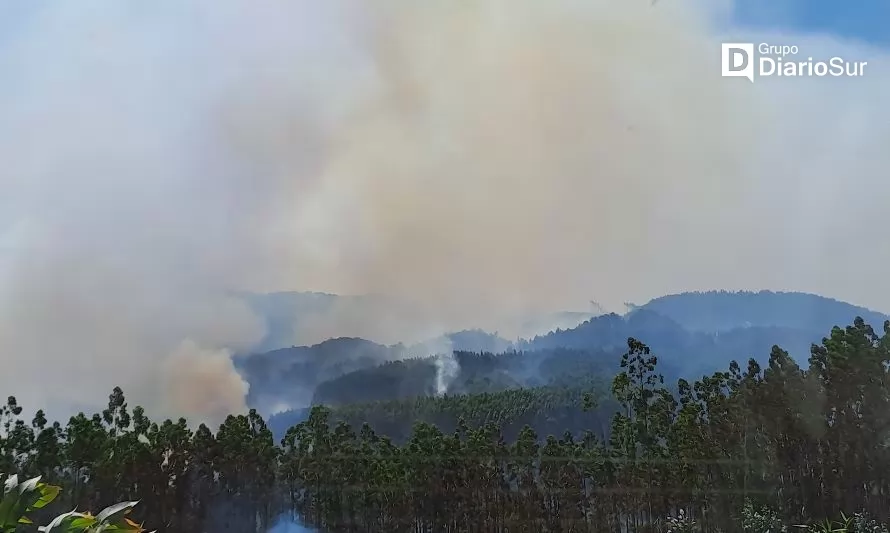Incendios forestales logran ser contenidos y autoridades coordinan prevención en las 12 comunas