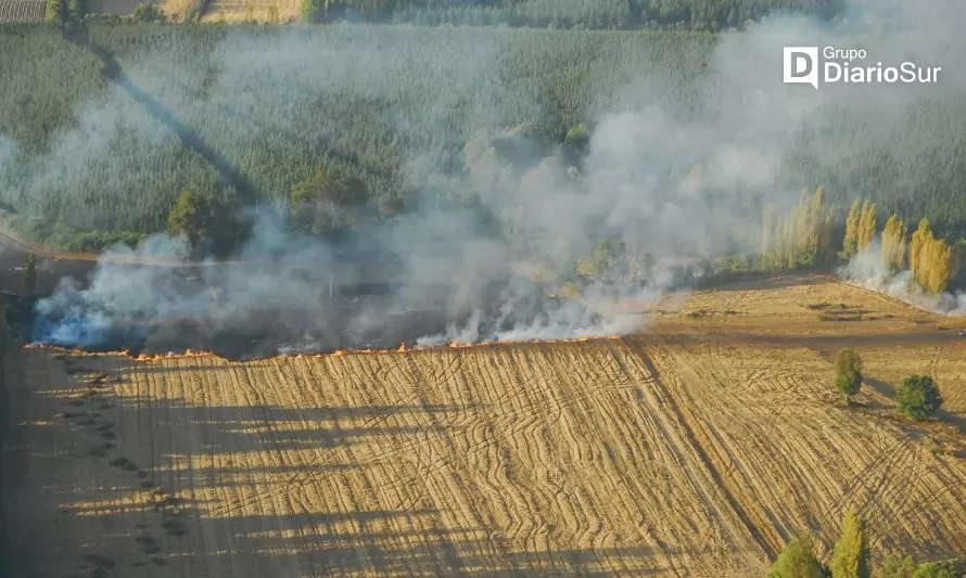 Conaf Los Ríos inicia calendario de quemas agrícolas 2023