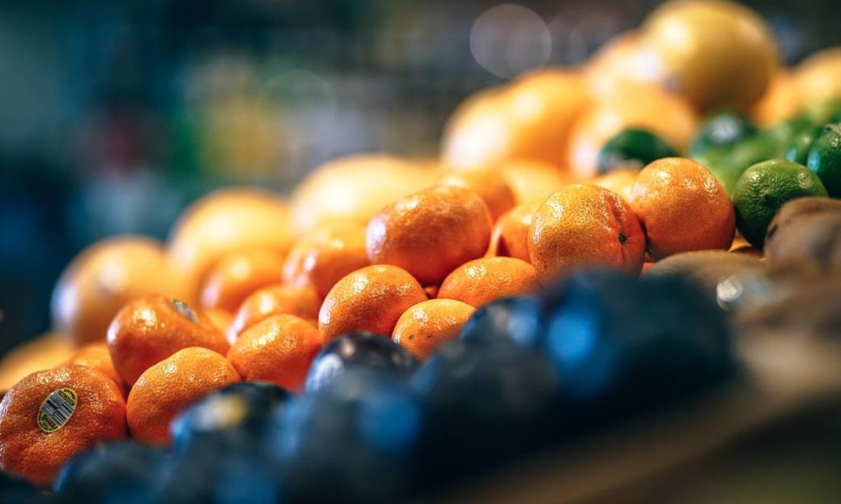 EEUU se prepara para recibir clementinas y naranjas chilenas